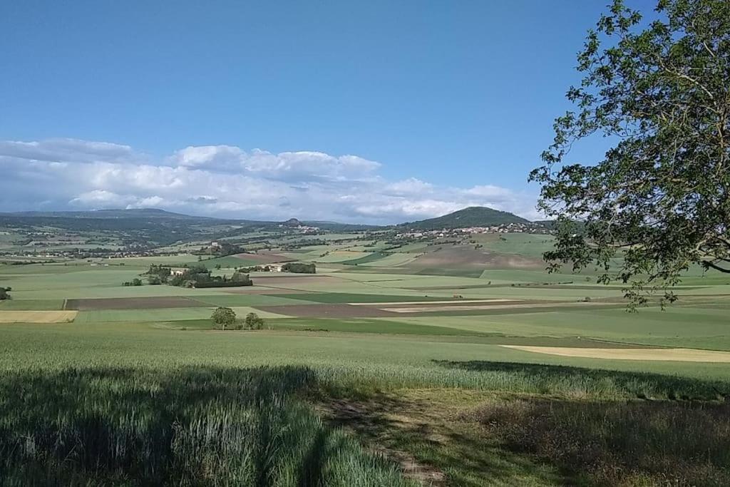 La Maisonnette Sous Le Cerisier Bergonne Экстерьер фото